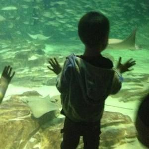 Meet your Posher, Levi